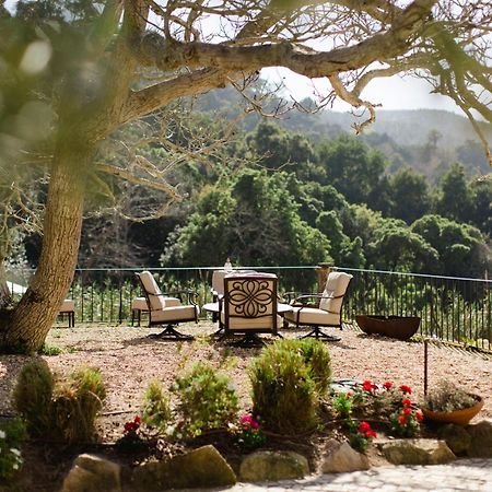 Quinta Da Bella Vista - Historic Home And Farm Σίντρα Εξωτερικό φωτογραφία