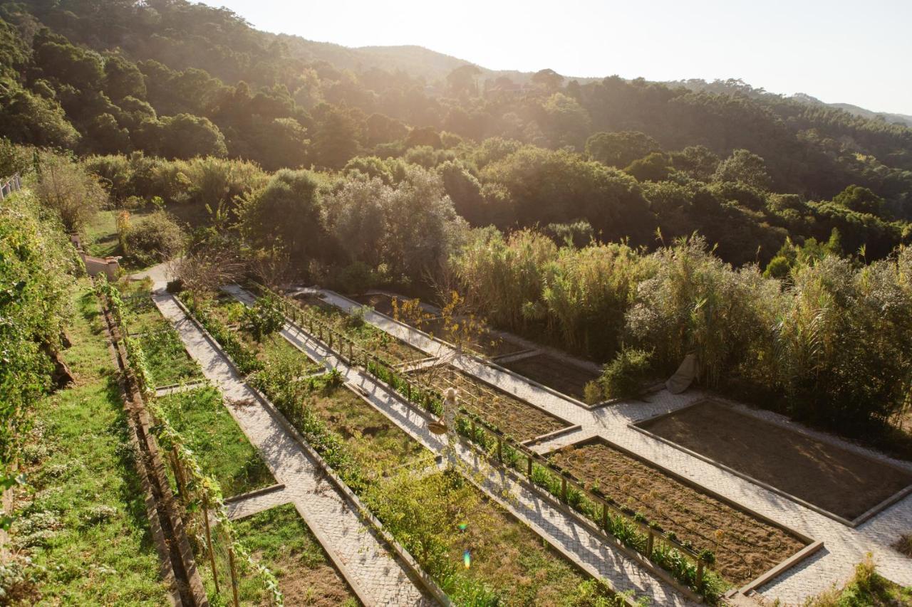 Quinta Da Bella Vista - Historic Home And Farm Σίντρα Εξωτερικό φωτογραφία