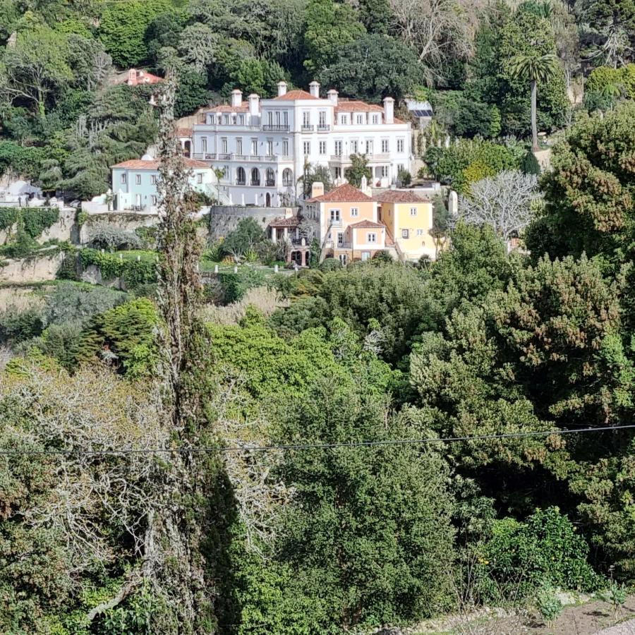 Quinta Da Bella Vista - Historic Home And Farm Σίντρα Εξωτερικό φωτογραφία