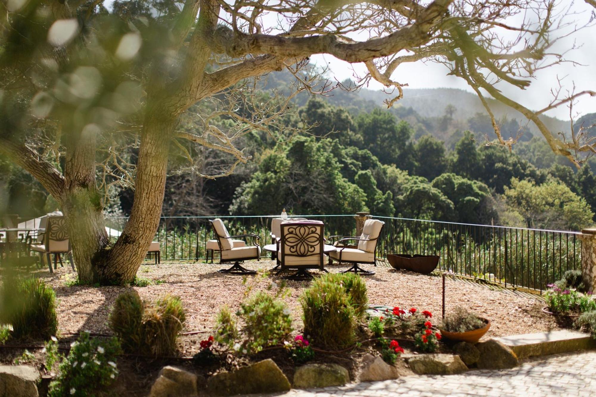 Quinta Da Bella Vista - Historic Home And Farm Σίντρα Εξωτερικό φωτογραφία